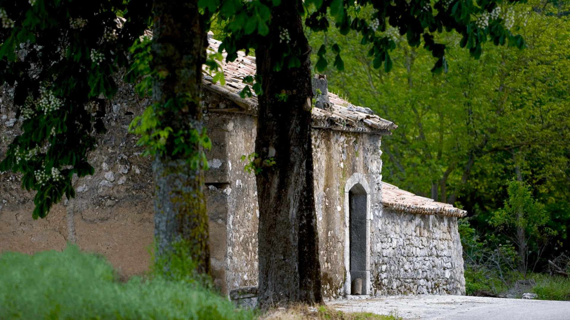 Taurasi Experience by Feudi di San Gregorio 4